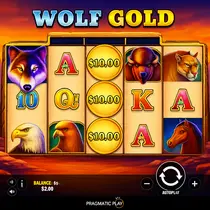 Infinity - Wolf Gold Slot Game by Pragmatic Play